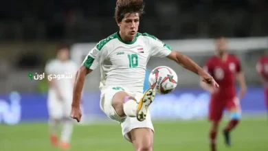 مهند علي