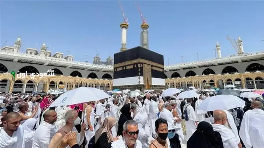 أداء مناسك الحج لعام