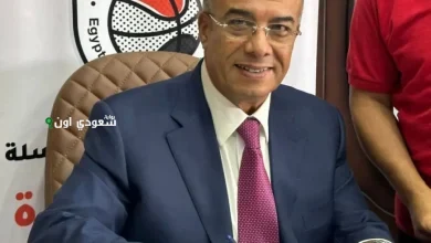 عمرو مصيلحي
