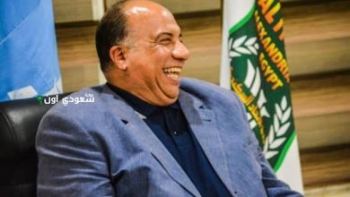 محمد مصيلحي