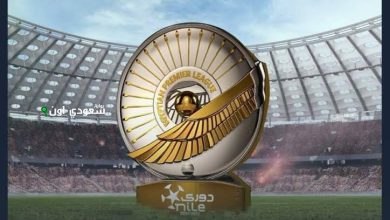 الجولة الأخيرة من دوري نايل