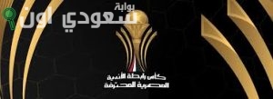 الأندية المصرية المحترفة