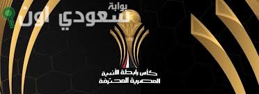 الأندية المصرية المحترفة