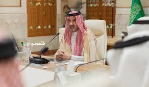 اللجنة العليا لمشروع تاريخ