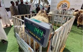 ورشة عمل في الرياض تناقش آليات بيع المواشي وفقاً لنظام الوزن الحديثة