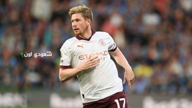 محامو دي بروين
