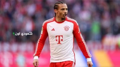ليروي ساني