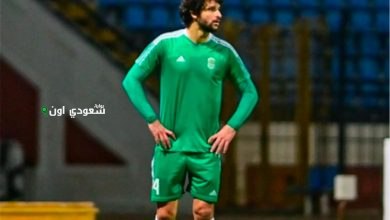 محمود علاء