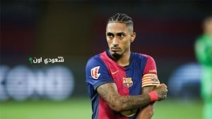 رافينها
