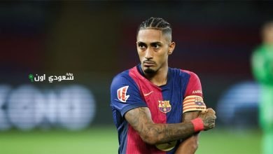 رافينها