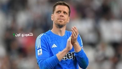 فوتشيك تشيزني