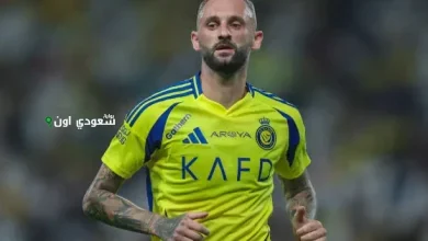 بروزوفيتش