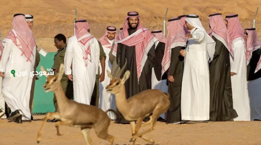 التنوع الأحيائي في السعودية