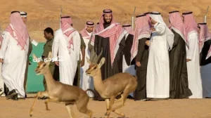التنوع الأحيائي في السعودية إرث مستدام يحقق توازن البيئة
