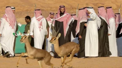 التنوع الأحيائي في السعودية إرث مستدام يحقق توازن البيئة