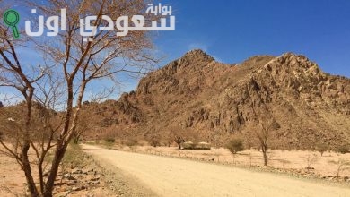 منتزه البيضاء البرّي بالمدينة المنورة