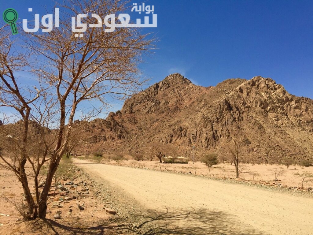 منتزه البيضاء البرّي بالمدينة