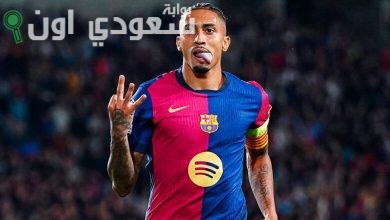 رافينيا