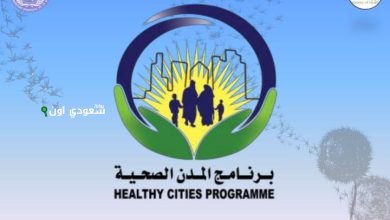 برنامج المدن الصحية