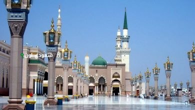 المدينة المنورة