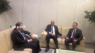 وزير العمل مصر مستعدة لتصدير العمالة المدربة إلى السوق الصربي كشريك استراتيجي هام