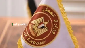 وزارة العمل الإماراتية