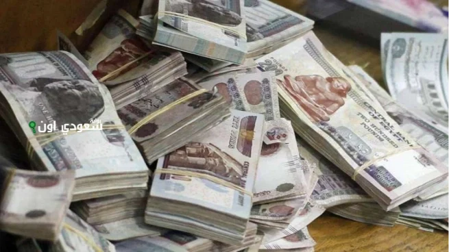 آخر أخبار رواتب شهر