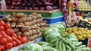 آخر تحديث صباحي لأسعار الخضروات