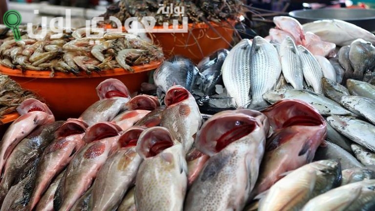 أسعار الأسماك اليوم