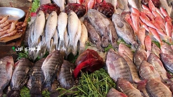أسعار الأسماك اليوم