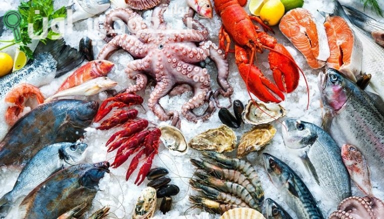أسعار الأسماك والجمبري