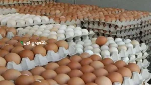 أسعار البيض
