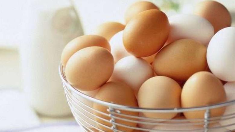 أسعار البيض الأبيض والأحمر والبلدي