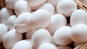 أسعار البيض اليوم