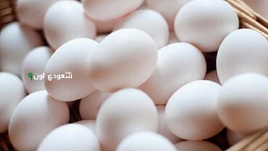 أسعار البيض اليوم