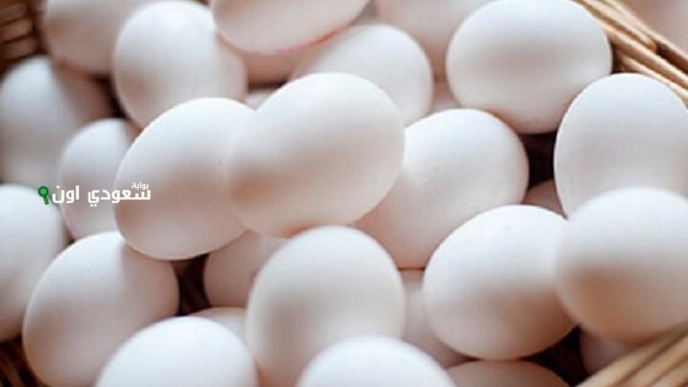 أسعار البيض اليوم