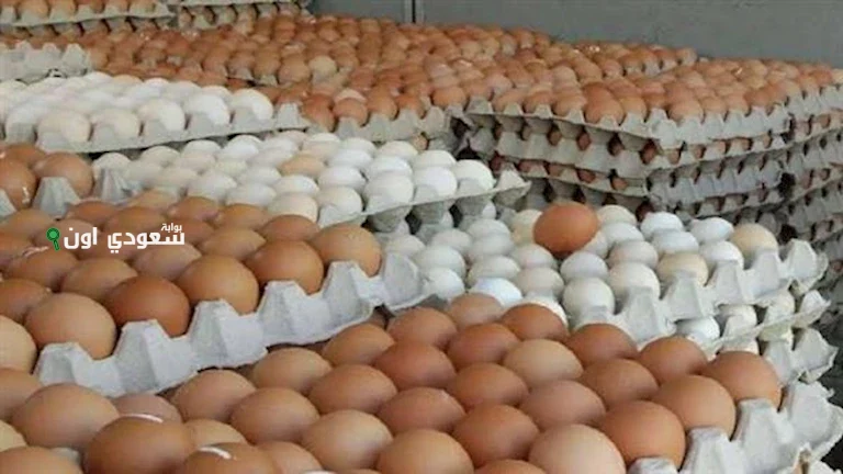 أسعار البيض