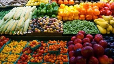 أسعار الخضراوات اليوم