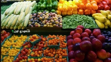أسعار الخضراوات اليوم الأحد 18-5-2025.. كم سعر كيلو البطاطس؟