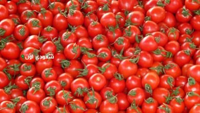 أسعار الطماطم والبطاطس والبصل السبت