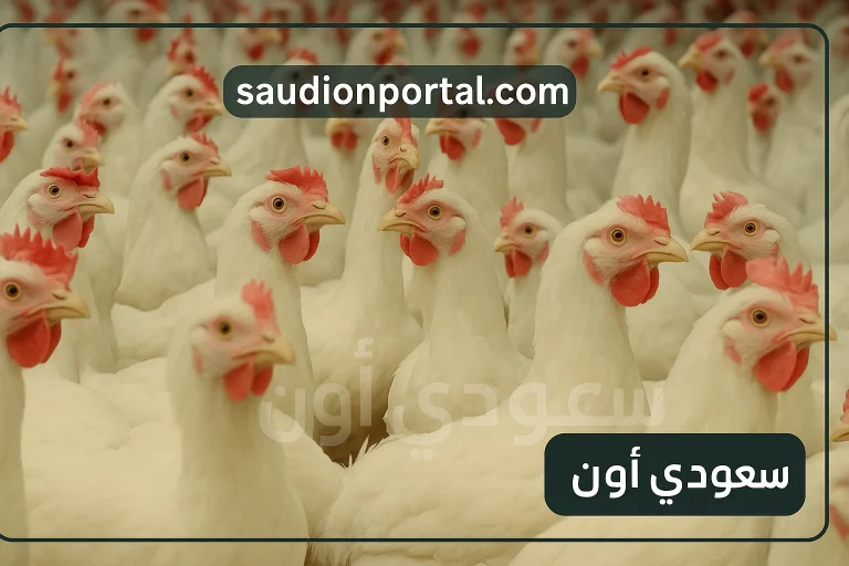 أسعار الفراخ البيضاء