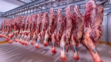 أسعار اللحوم الحمراء اليوم