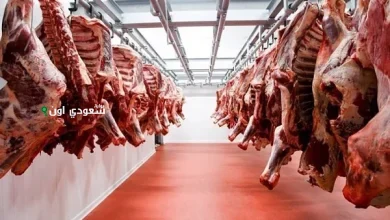 أسعار اللحوم الحمراء اليوم