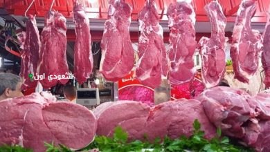 أسعار اللحوم في مصر اليوم الثلاثاء