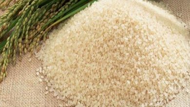 أسعار طن الأرز الشعير اليوم