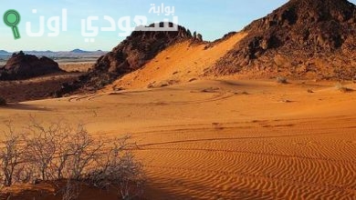 أكبر صحراء في شبه الجزيرة العربية
