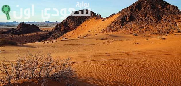 أكبر صحراء في شبه