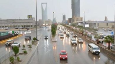 أمطار رعدية ورياح نشطة على هذه المناطق السعودية.. شاهد الطقس الآن