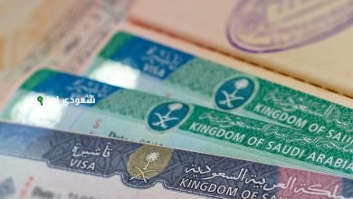 احصل على تأشيرة عمل مؤقتة مجانية للوافدين وحقق الأحلام