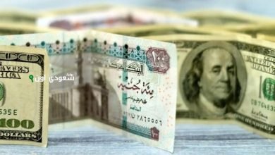 ارتفاع صادم.. سعر الدولار اليوم السبت 17 مايو 2025 يُثير المخاوف بين المستوردين والتجار